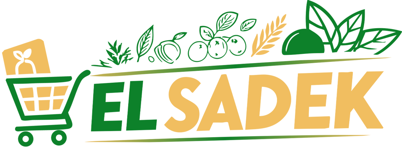 الصادق لوجو